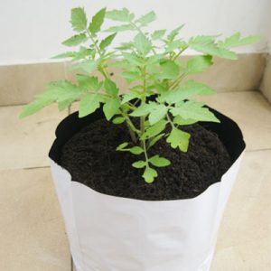 grow-bag