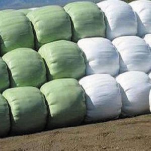 Silage-roll